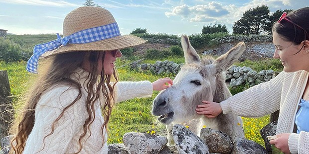 Two female Concordia students stand by a stone wall and pet a donkey.