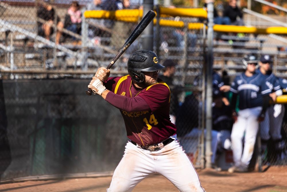 Men's Stingers Baseball Team