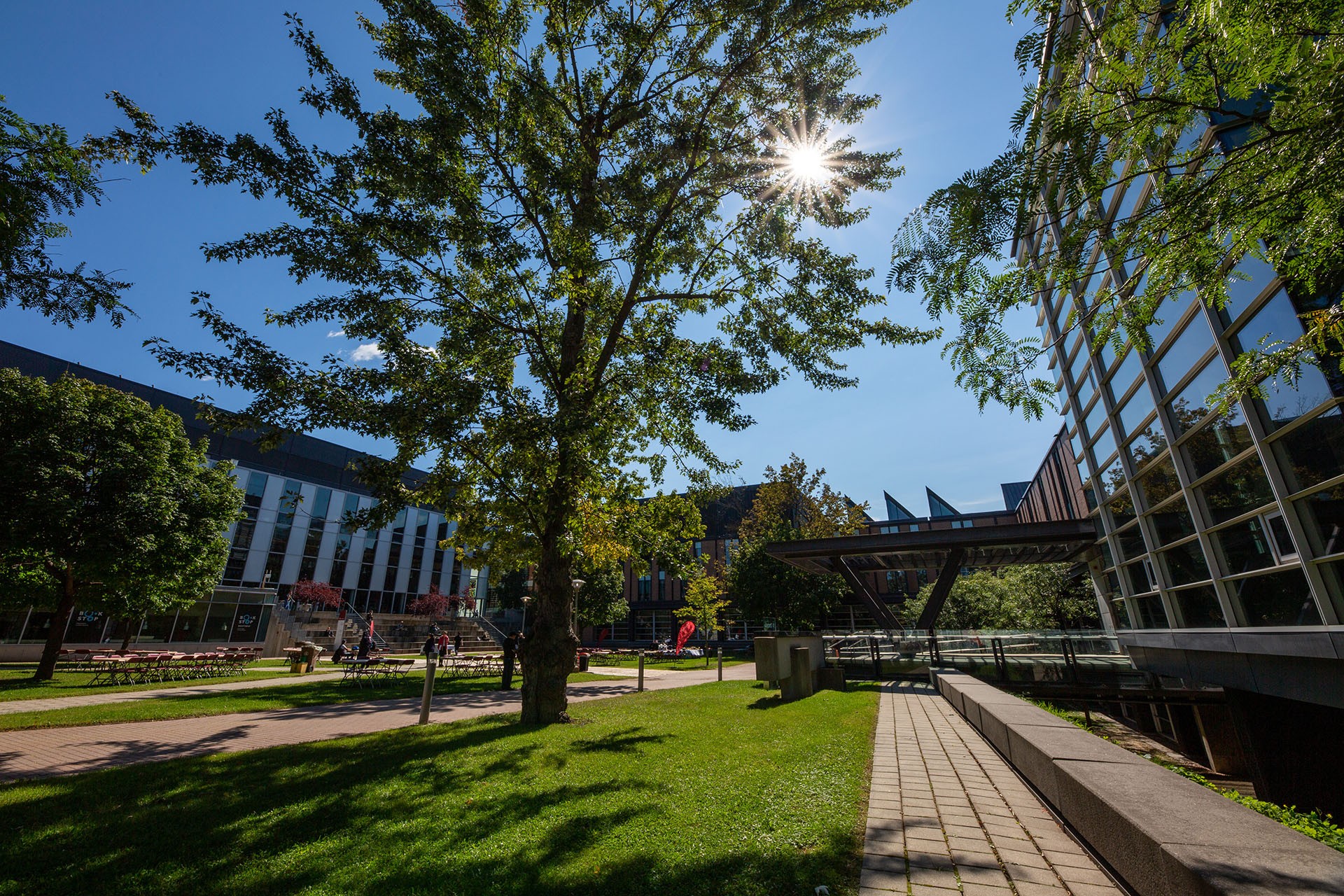 The sun shines through the trees on Loyola Campus in the summer