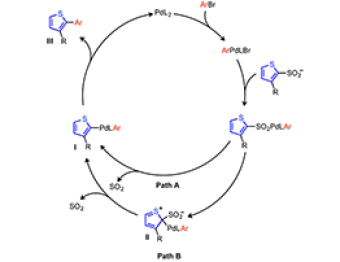 Postulated mechanism for the palladium-mediated desulfinylative coupling.