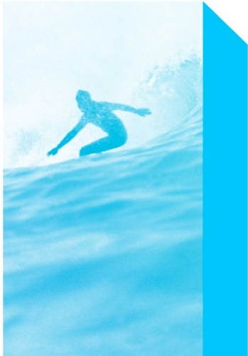Van-Parijs-surf