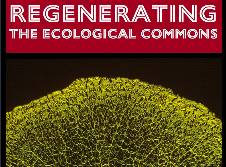Urban-Futures-eco-comm
