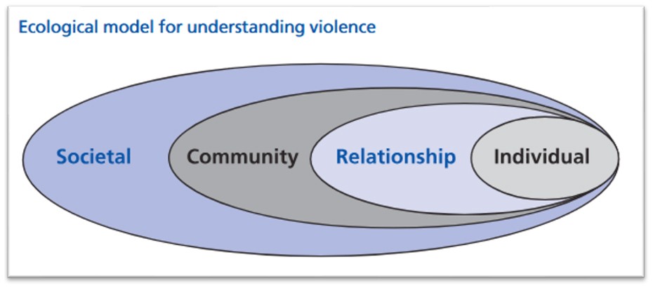 Depiction of the ecological model for uderstanding violence