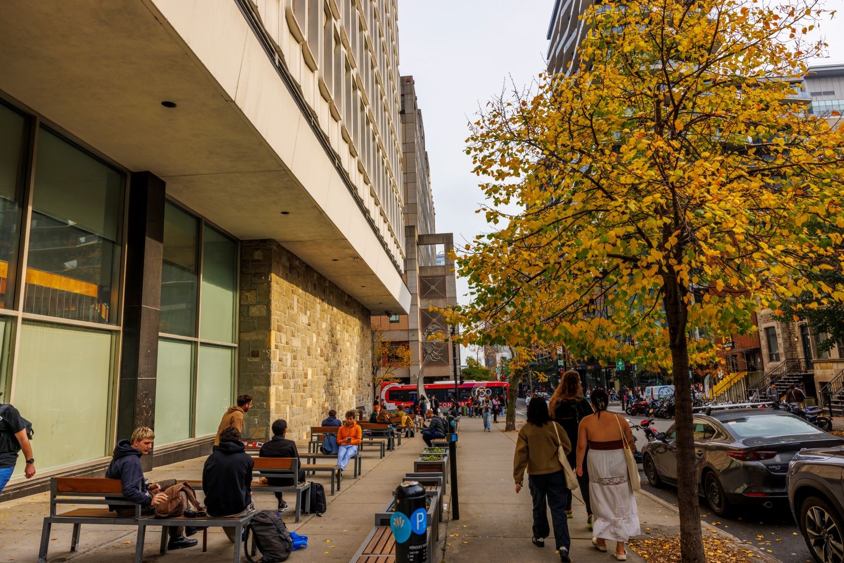 A photo of people in front of the Hall Building, with a tree in full fall colours and the shuttle bus in the distance