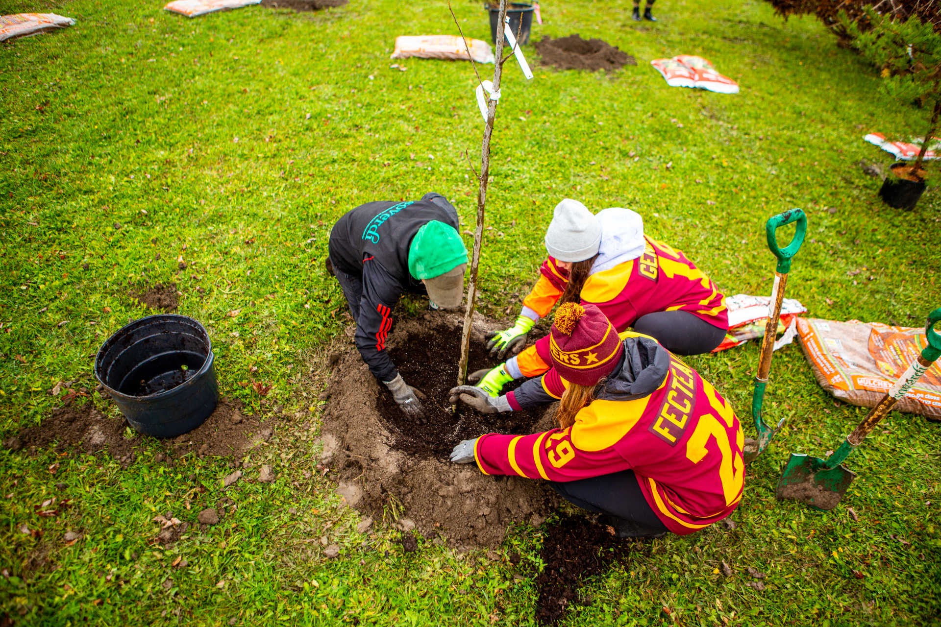 An aerial view of three people planting a tree in a round hole surrounded by green grass.