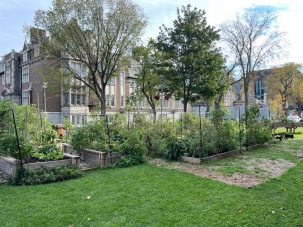 A photo of a green vegetable garden with trees and a building in the background on the Loyola campus