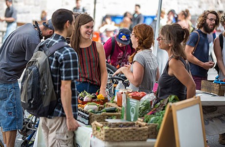 Sustainability fair