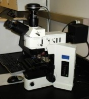 Olympus BX51 optical microscope and XC-50 color digital camera system