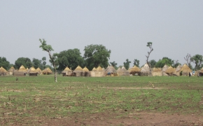 African village landscape