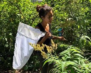 woman holding butterfly net among greenery