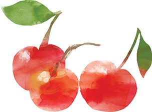 Watercolour-cherries-465435310-303