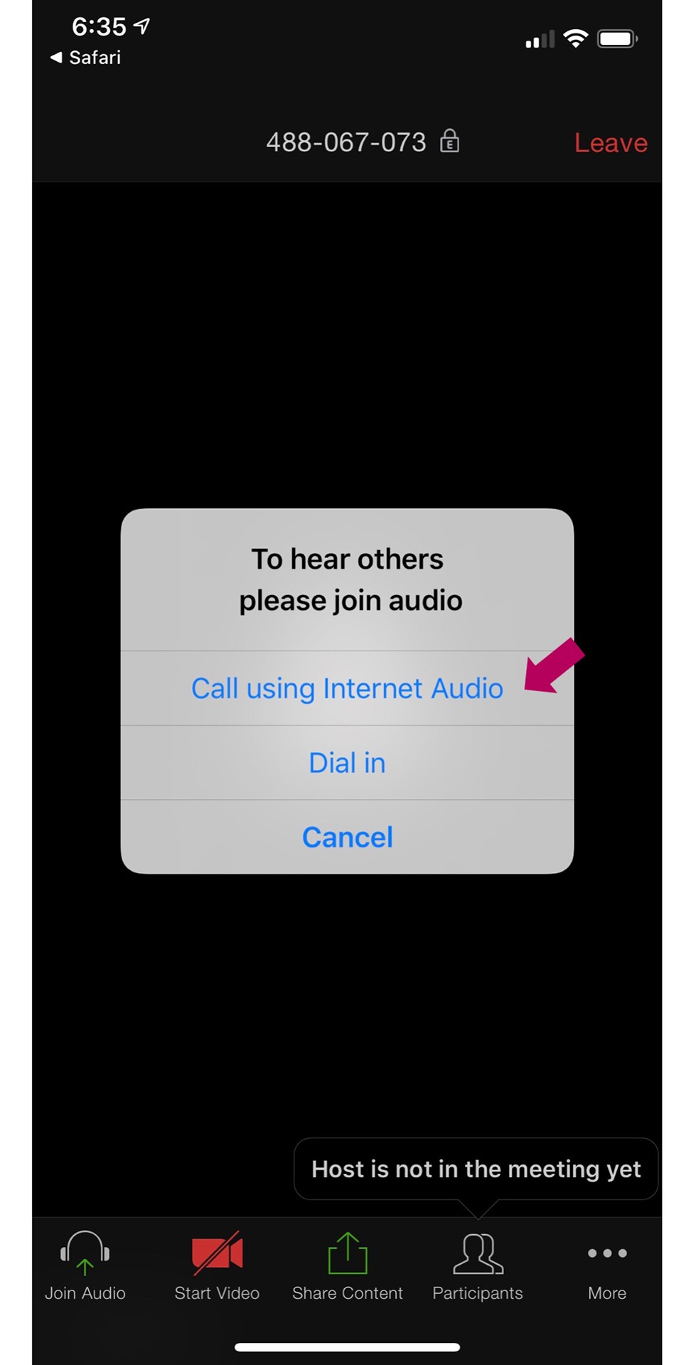 Click Call using Internet Audio in order to hear your instructor.