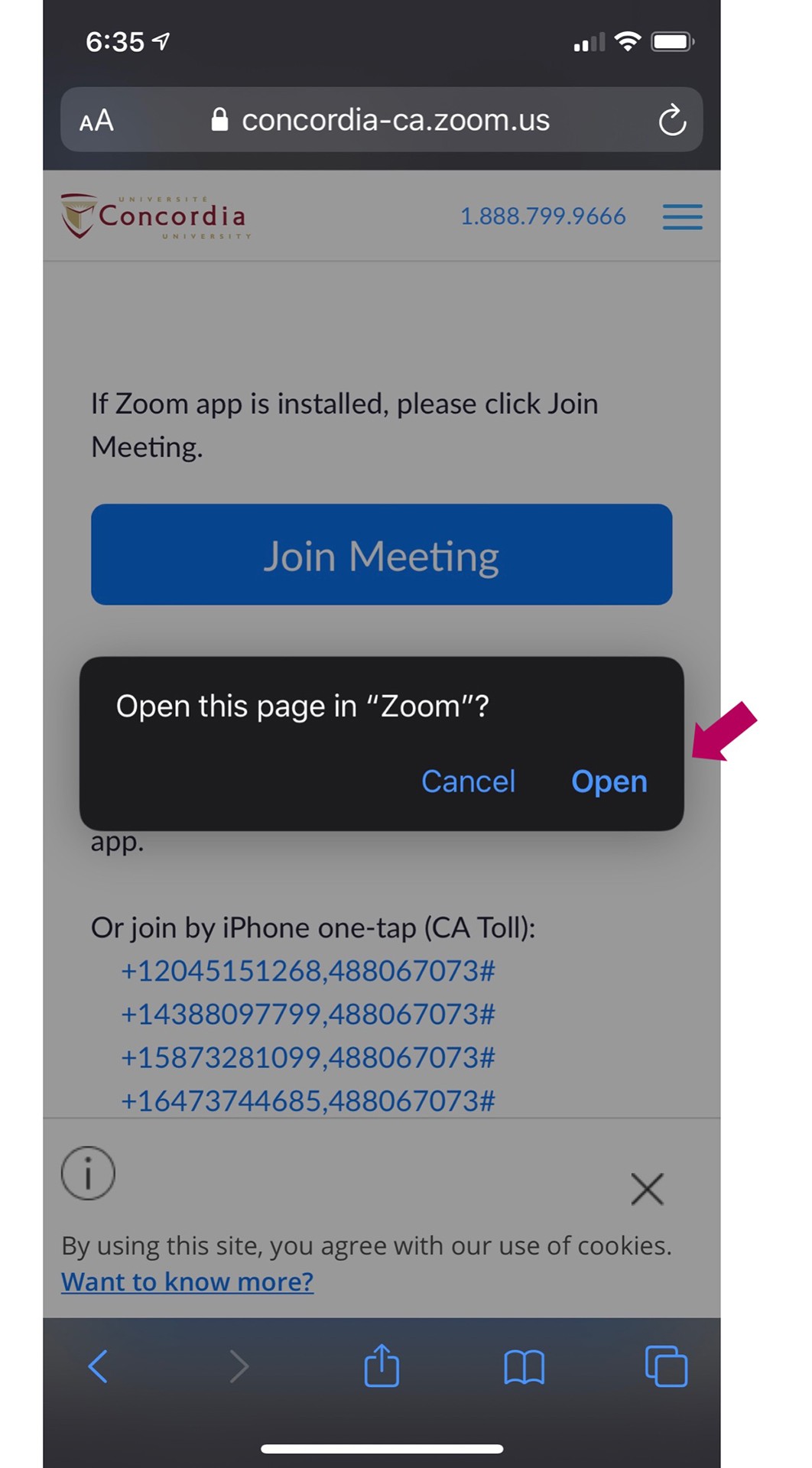 You may be prompted to open Zoom