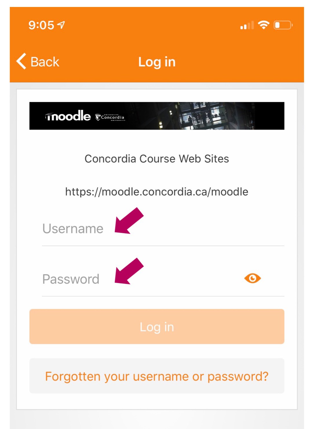 slide2 Type your Concordia Netname and Password