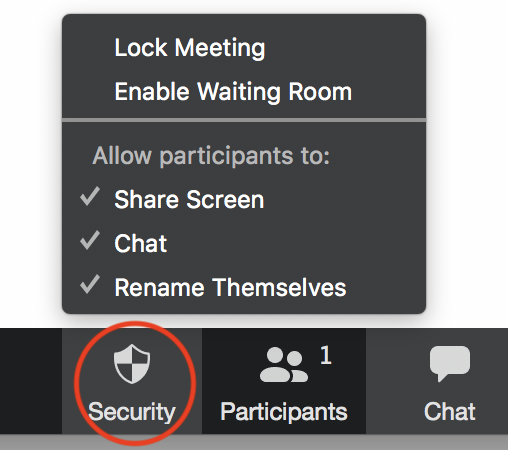 the security menu item is circled and the menu items are displayed, including Lock meeting, enable Waiting Room, Allow Participants to: share screen, chat and Rename Themselves