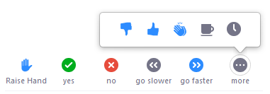 Image of non-verbal feedback icons: raise hand, yes, no, go slower, go faster, more
