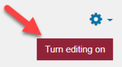 Turn editing on