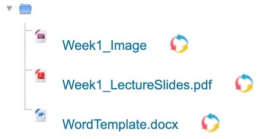 The contents inside of a folder on Moodle. There are: ‘Week1_Image’ an image file, ‘Week1_LectureSlides’ a PDF file, and ‘WordTemplate’, a Word file. Next to each file is a circular icon with red, blue, and yellow arrows. This is the Request Conversion icon.