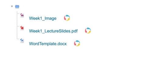 The contents inside of a folder on Moodle. There are: ‘Week1_Image’ an image file, ‘Week1_LectureSlides’ a PDF file, and ‘WordTemplate’, a Word file. Next to each file is a circular icon with red, blue, and yellow arrows. This is the Request Conversion icon.