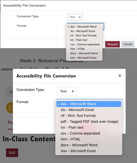 The Accessibility File Conversion pop-up window. The Conversion Type is text, and the drop-down list for format is opened, showing doc, xls, rtf, pdf, txt, csv, htm, docx, and xlsx options.