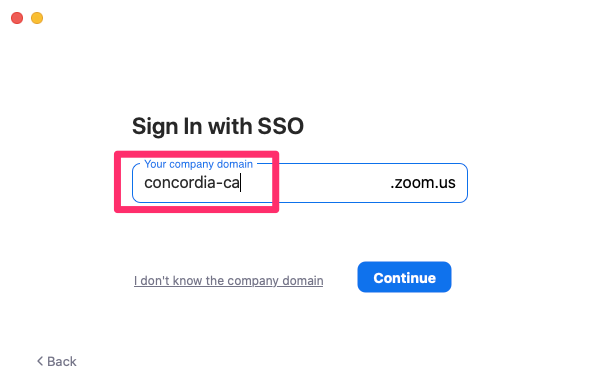 The sign in with SSO page shows a box around "your company domain" box with the text CONCORDIA-CA