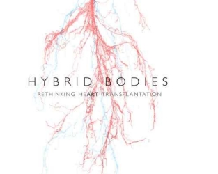 hybrid-bodies