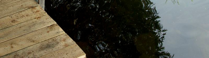 header3 header3