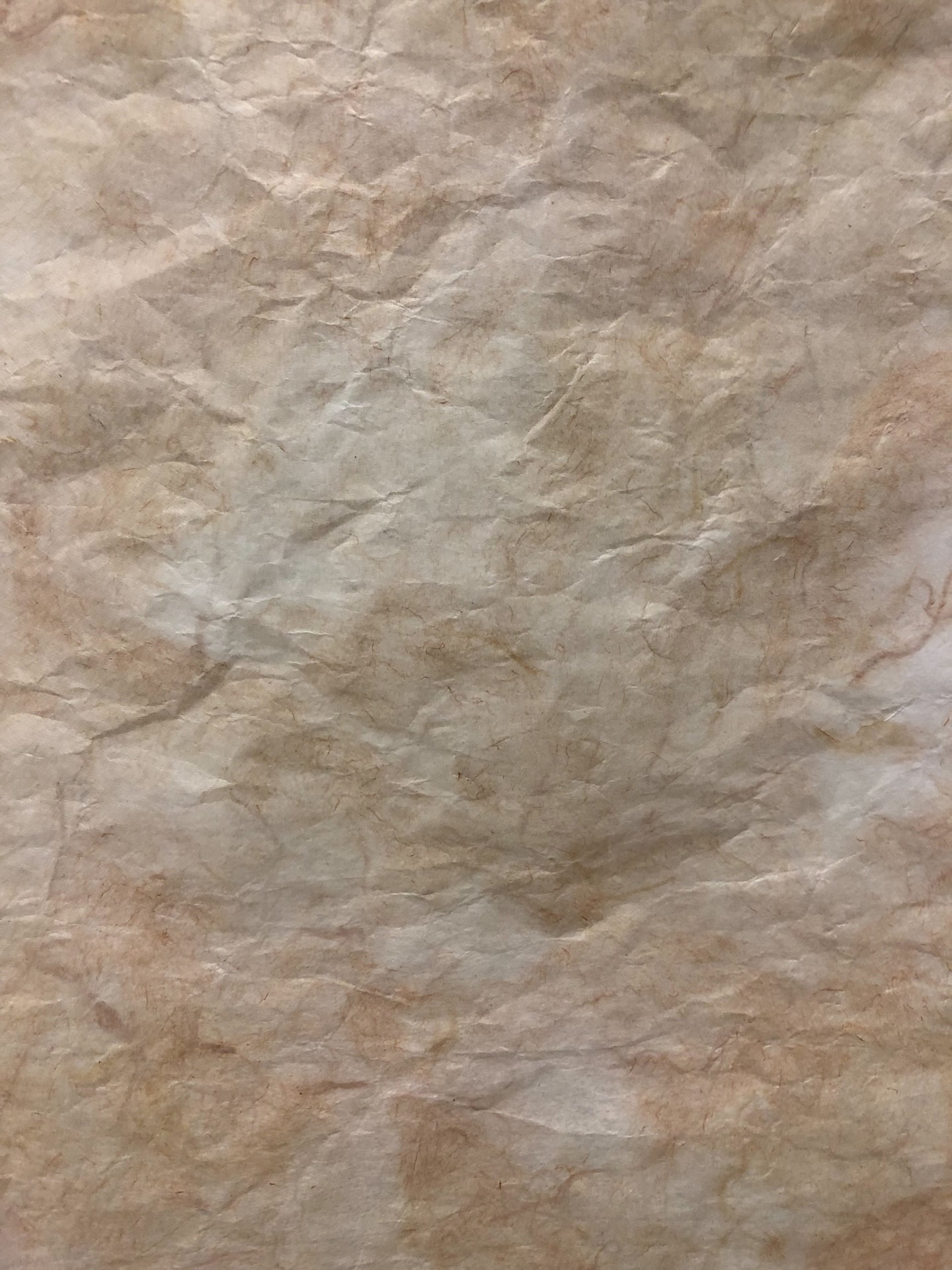 Detail of a sheet of Japanese paper with no fibers on the surface