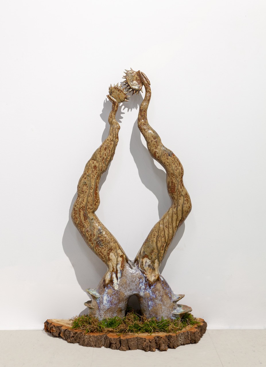 Deux grandes plantes carnivores en céramique poussent sur ce qui semble être une épaisse arche rocheuse, également en céramique. La sculpture repose sur une tranche d'arbre.