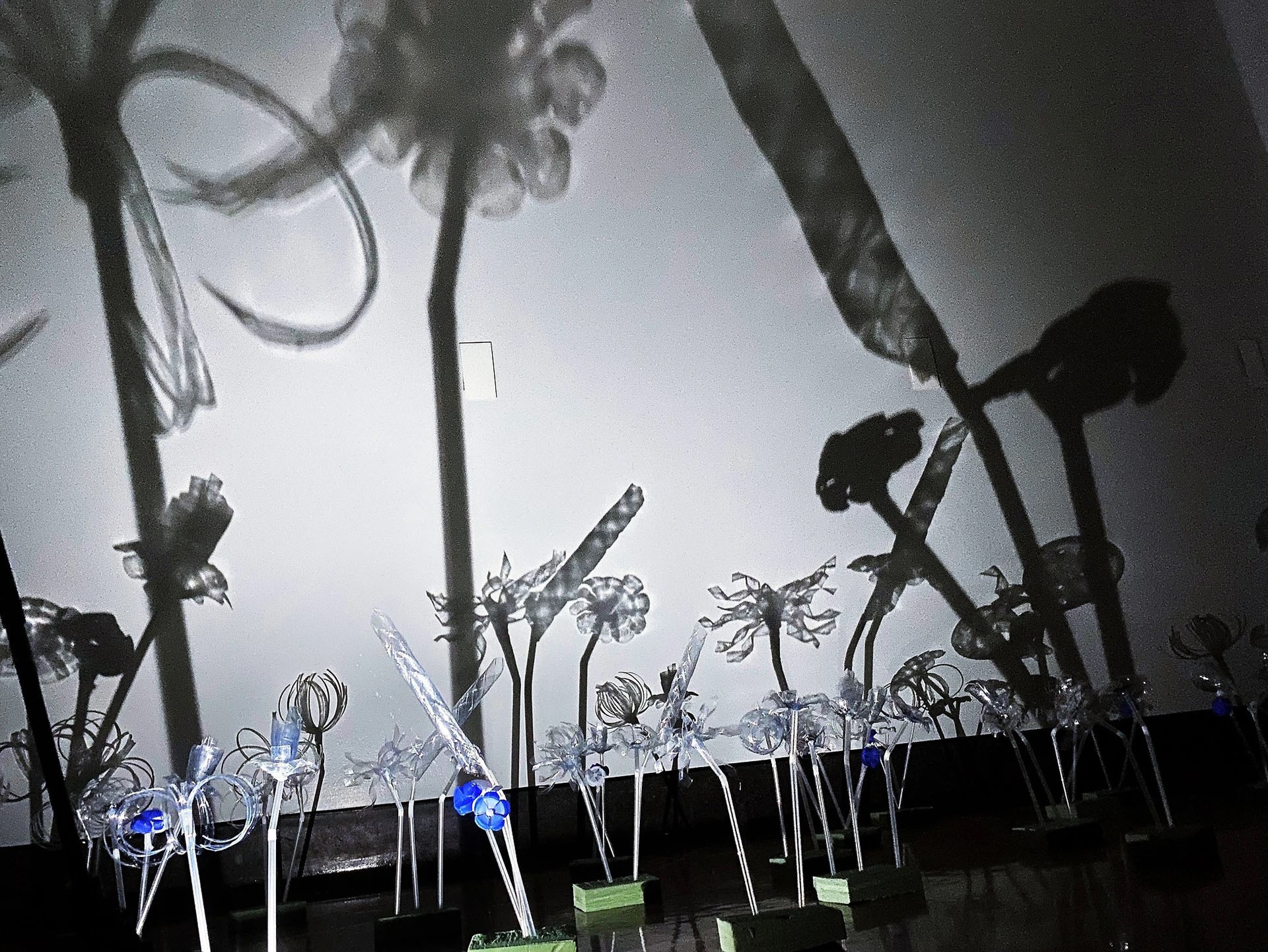 Photo de l'installation qui présente le jardin fait de fleurs plastiques synthétiques et réutilisés, de selfie sticks, de blocs de mousse et de lumières LED. Une lampe de poche éclaire le jardin qui est installé dans l'obscurité.