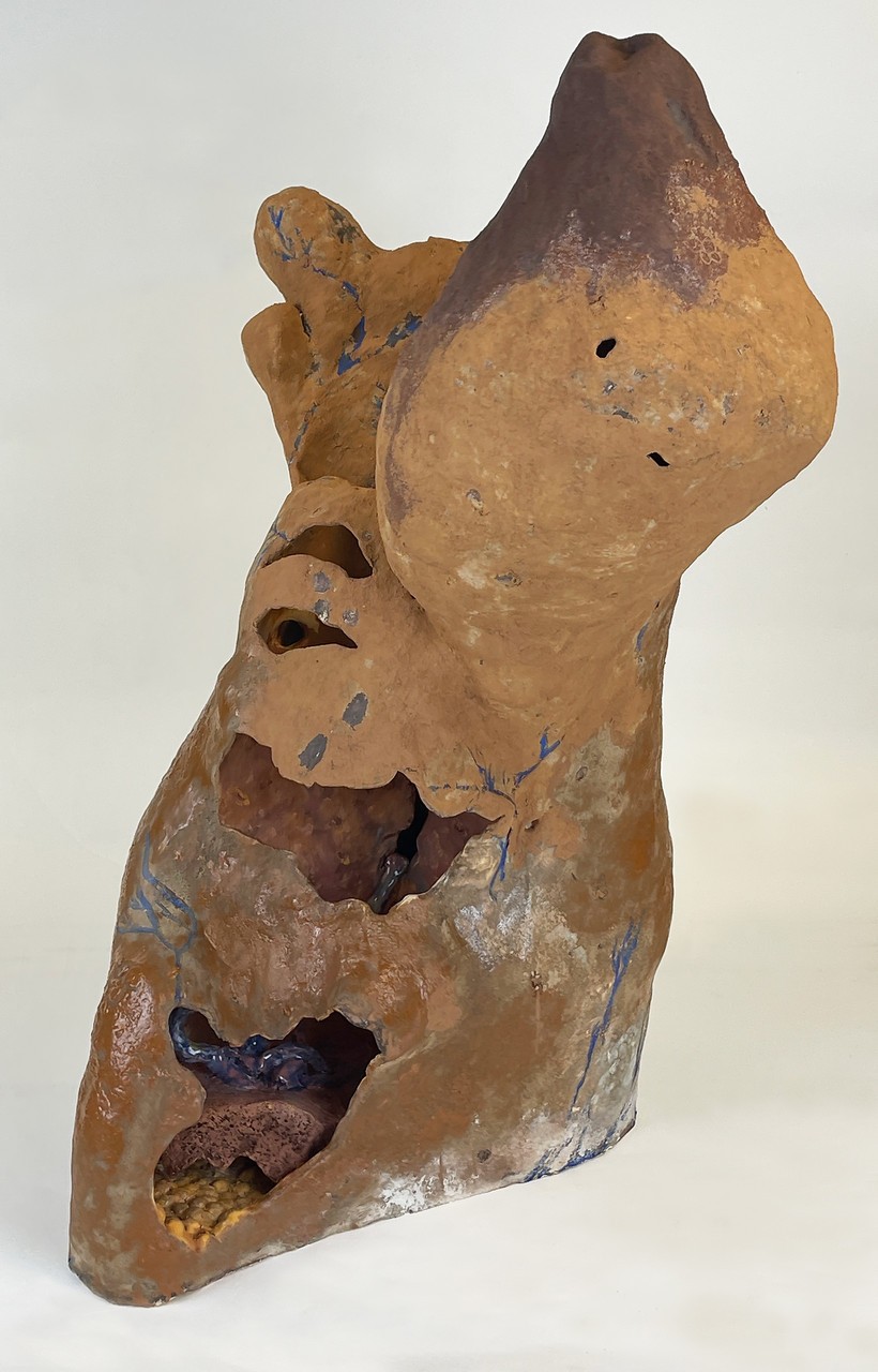 Documentation de l'œuvre Écosystème de l'intime. L'œuvre a une forme humaine informe avec des cavités permettant au public d'observer ses « organes » internes. La sculpture en céramique est brune, sans émail à l'extérieur, et comporte des éléments colorés émaillés à l'intérieur