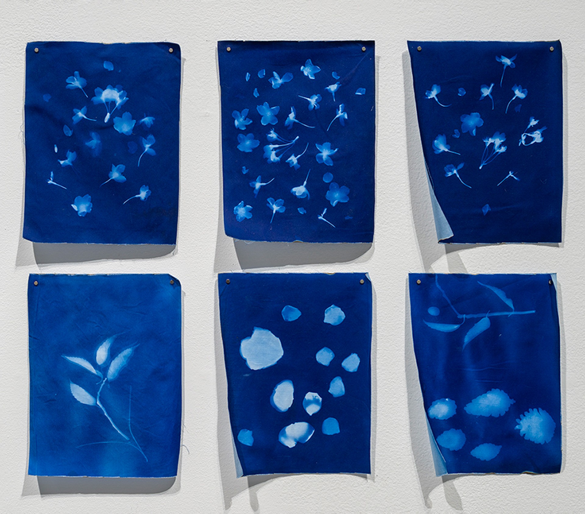 Deux rangées de trois tissus imprimés, sur fond bleu foncé, avec des impressions fantomatiques bleu clair représentant des fleurs, des rochers et des branches