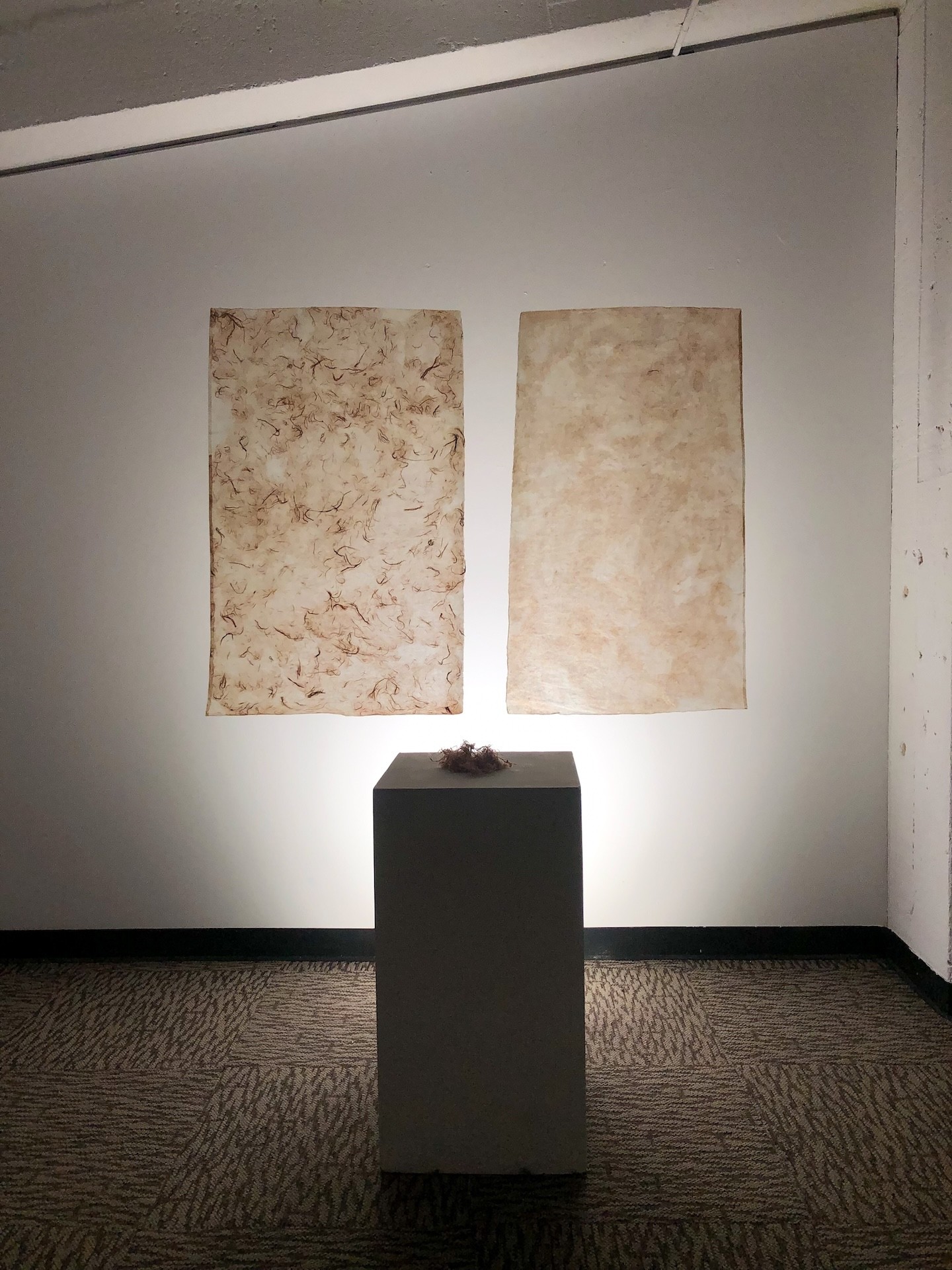 Une installation composée de deux feuilles de papier rétroéclairées et d'un socle blanc devant lequel se trouve un tas de fibres ébouriffées.