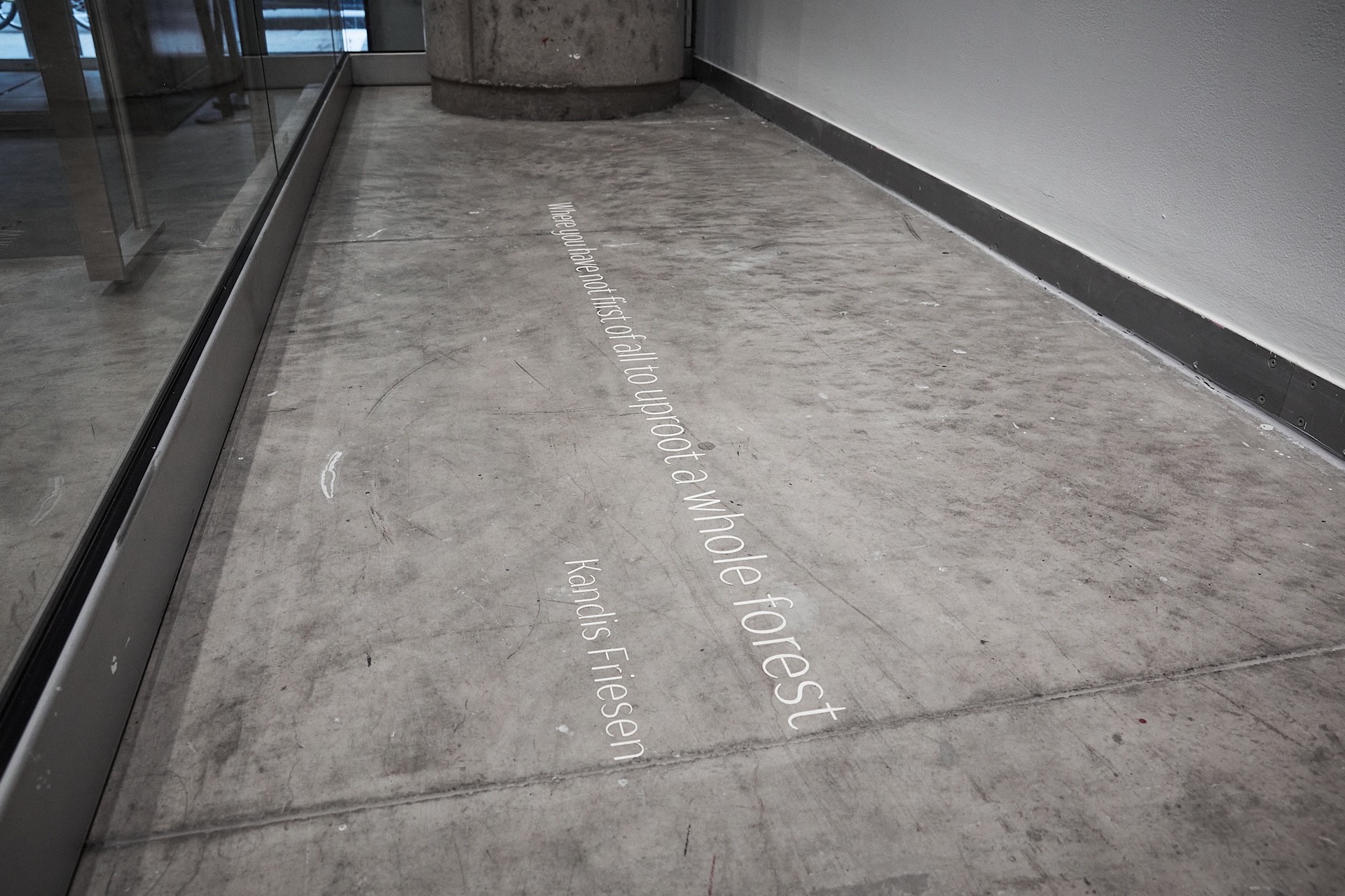 Le sol en béton d’une vitrine présente le titre de l’exposition, découpé dans du papier blanc au laser. La première ligne indique « Where you have not first of all to uproot a whole forest », et la deuxième, « Kandis Friesen », apparaît dans une police légèrement plus petite. 