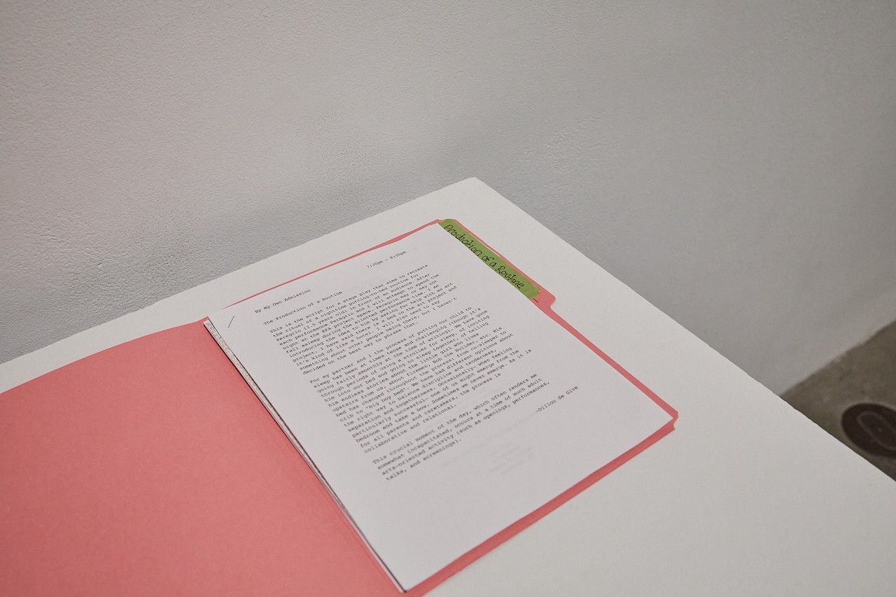 Vue rapprochée d’un socle blanc dans un espace d’exposition, avec un dossier rose. Le dossier est ouvert et présente sur la première page le texte et le programme de la performance de Dillon.