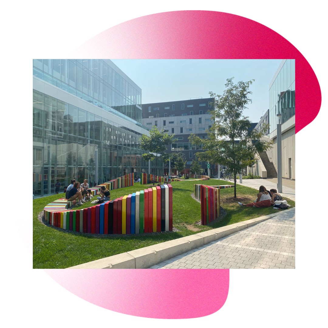 documentation of a public artwork outdoors
