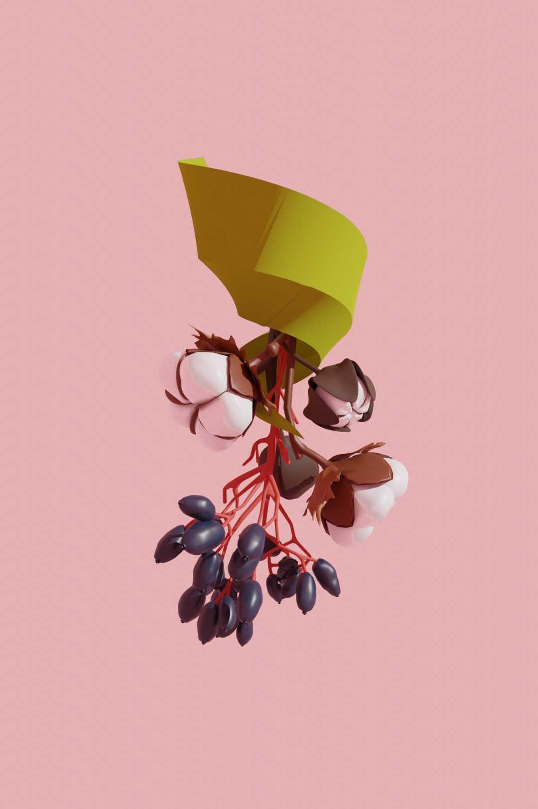 Pario image of : Pario, 2021, 3D model by Lindsey Carter