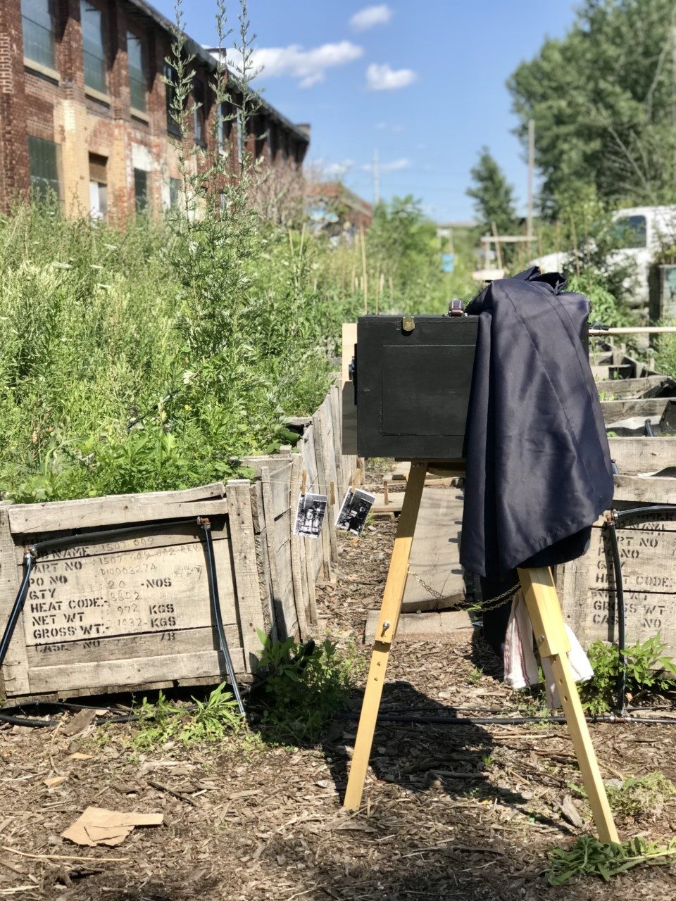 A large format camera in a garden.