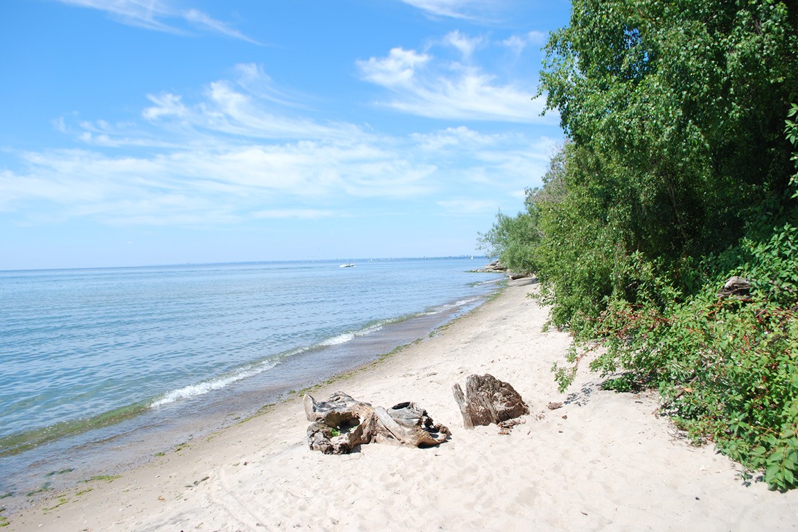 Beach at Gibraltar Point