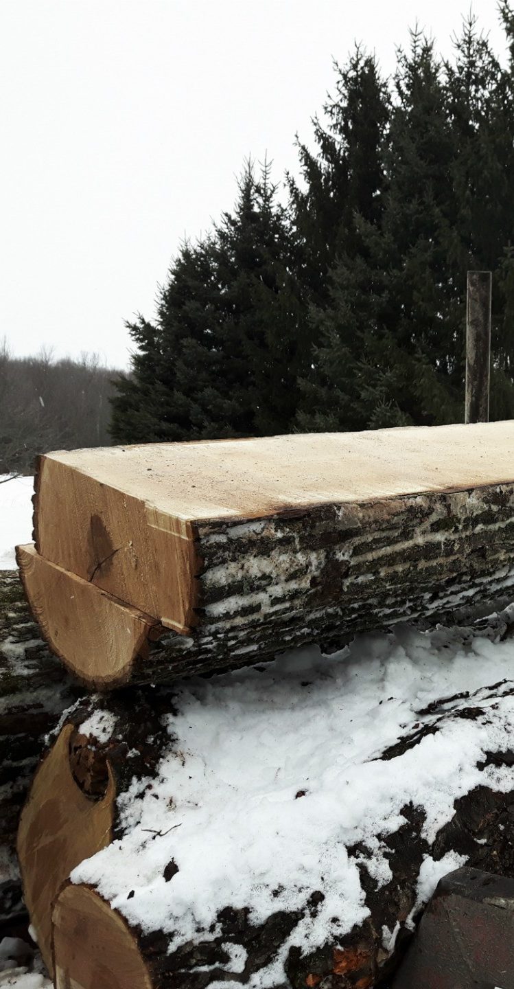 Un gros tronc d'arbre coupé dans la neige.