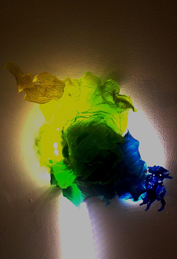 Lea-Ann McNally, Homemade organism (Intermedia) Lea-Ann McNally, Homemade organism (Intermedia)