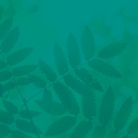 Graphic of tree leaves, green-on-green