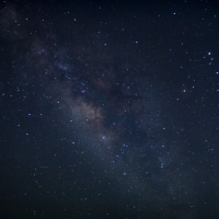 close crop of indistingishable pink and black graphic from production poster