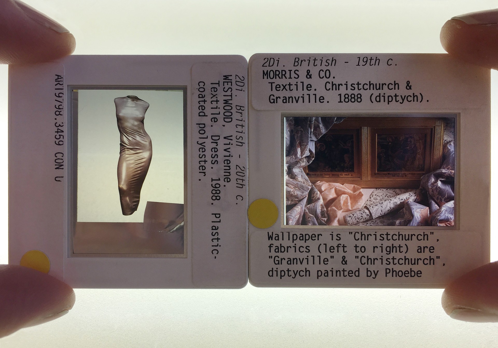 A photo of labeled slides as a part of the Leisure collective's project, "Study for How one becomes what one is," 2018, mixed media