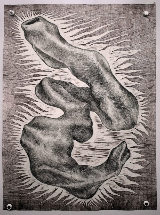 Will Alba, Shapeshifter Will Alba, Shapeshifter