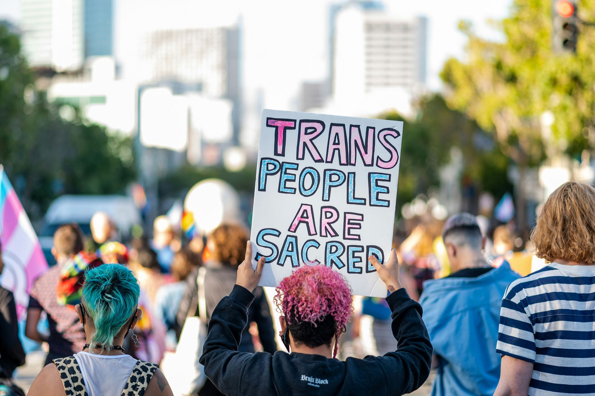 A picture of a person with pink, curly hair, seen from the back. They are at a rally in support of trans rights, holding up a sign that says "Trans People are Sacred."