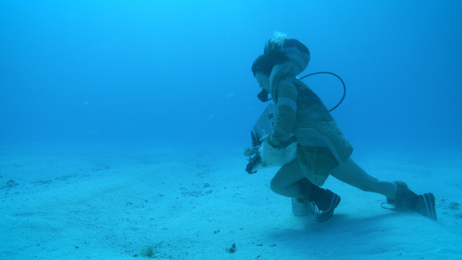 A woman wearing a parka and winter boots walks across an ocean floor, resisting the current. Though she is scuba diving, she holds her air tank in one hand. In the other, she carries a sculptural object resembling a dollhouse, adorned with miniature trees. The cold blue expanse of the open ocean surrounds her, creating a surreal, dreamlike underwater scene.