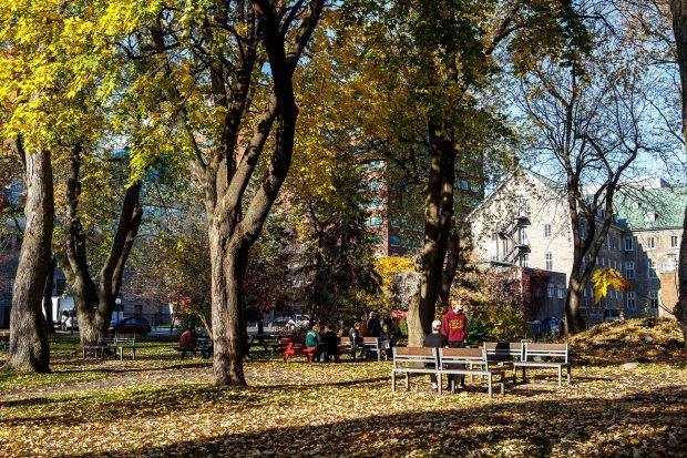 fall foliage on the Concordia University campus