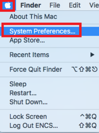 select System Preferences from the Apple menu