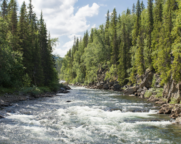 A river